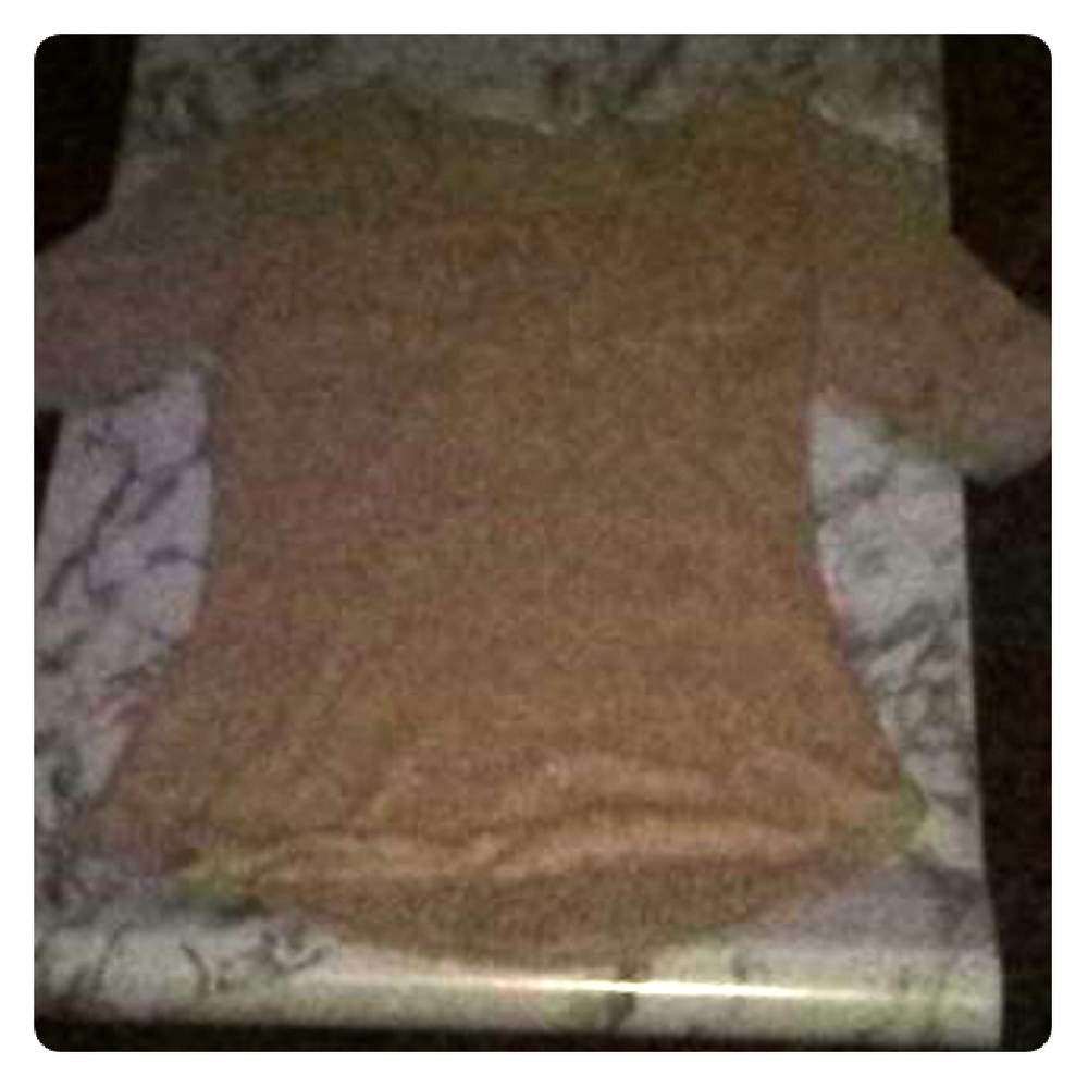 Short sleeve shirt
